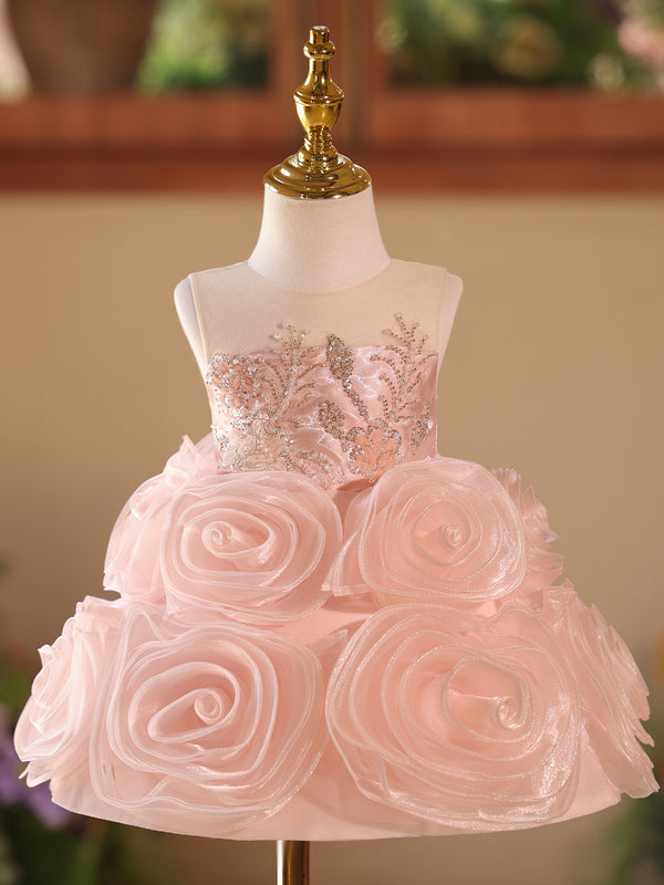 Tulle Sleeveless Knee Length First Birthday Dress